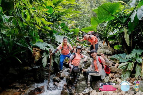 保亭县热带雨林山地户外极限运动 宣传片