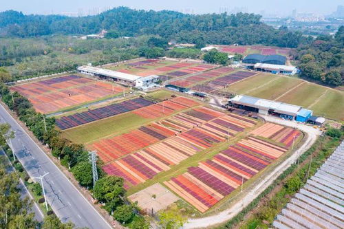 佛山户外运动新ip 1 这个夏天,开启山地休闲运动新玩法